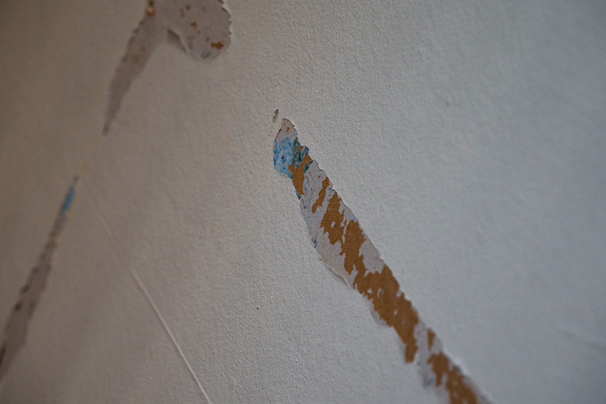 Basement Water Removal service in Apex, NC